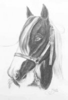 /album/fotogalerij/easter-tekening-jpg/